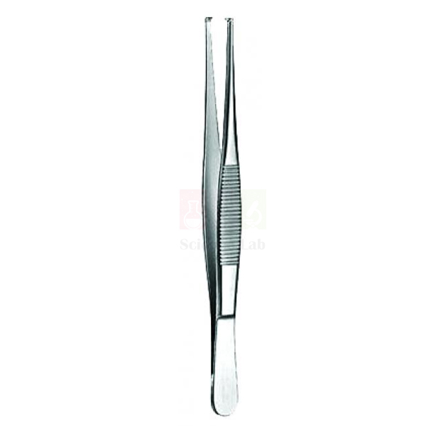 Tissue Forceps Standard Straight